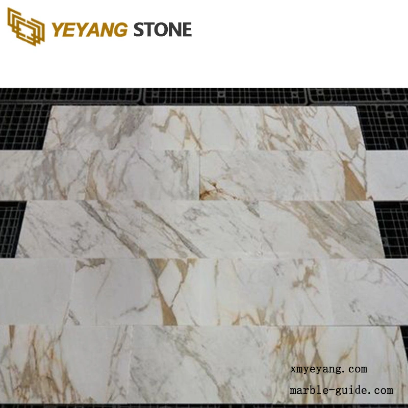 Natural Stone Grey/White/Black/Red/Brown/Green/Golden Carrara White Polished Marble for Wall