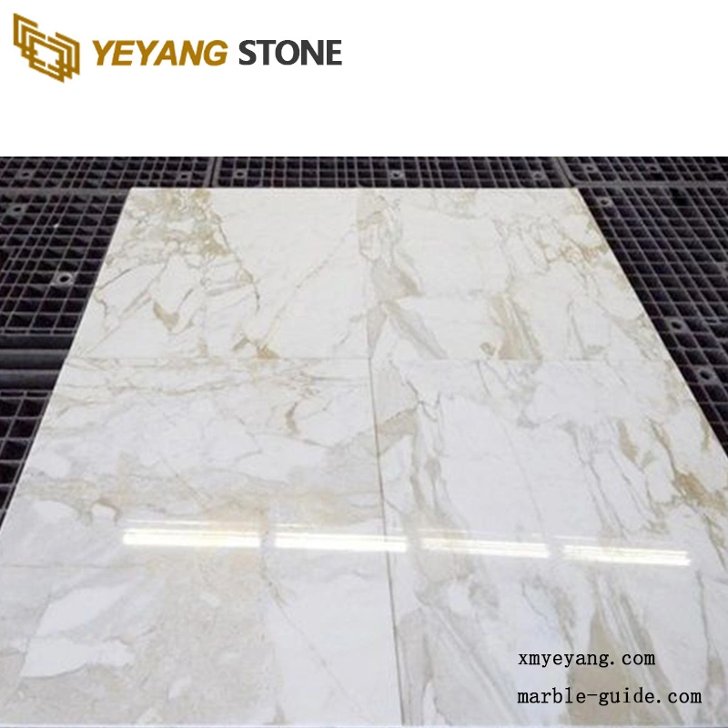 Natural Stone Grey/White/Black/Red/Brown/Green/Golden Carrara White Polished Marble for Wall