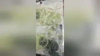 Marmo bianco di bellezza, marmo verde giada per tavolo da ricevimento e decorazione murale